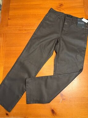 Banana Republic Brown Coated Pants